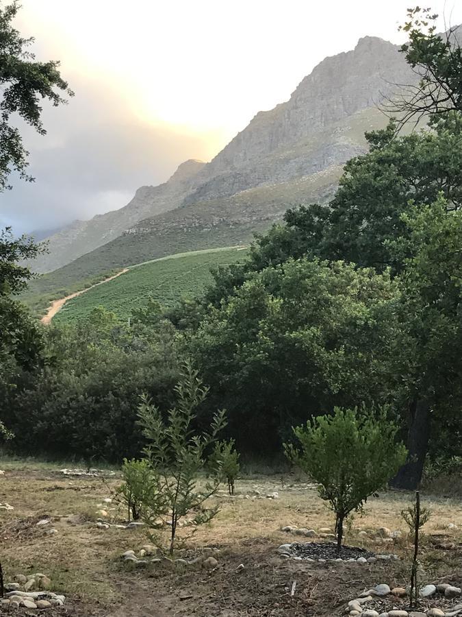 At In Mostertsdrift
